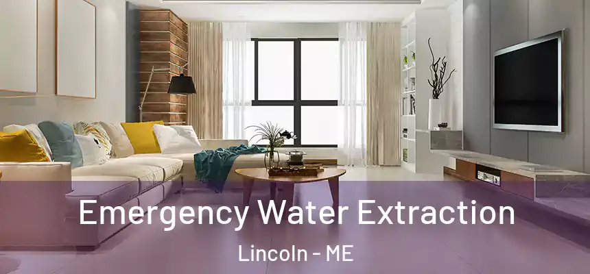 Emergency Water Extraction Lincoln - ME