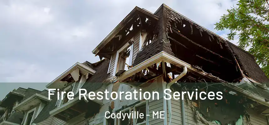  Fire Restoration Services Codyville - ME