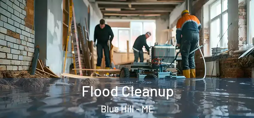  Flood Cleanup Blue Hill - ME