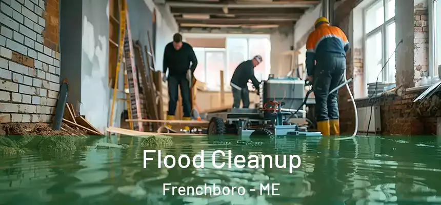  Flood Cleanup Frenchboro - ME