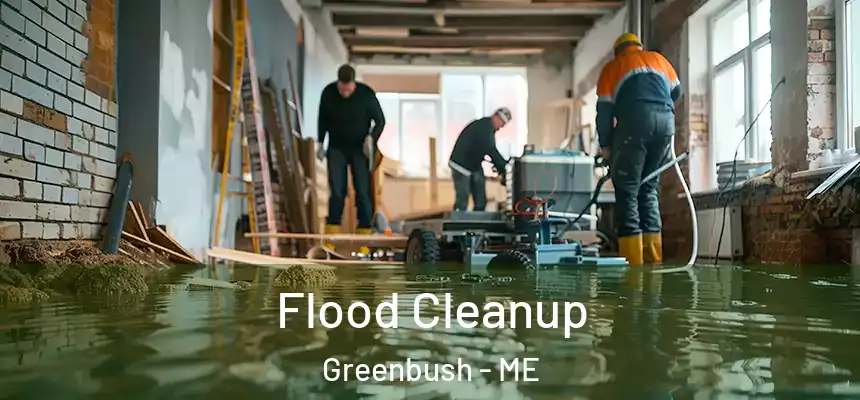  Flood Cleanup Greenbush - ME