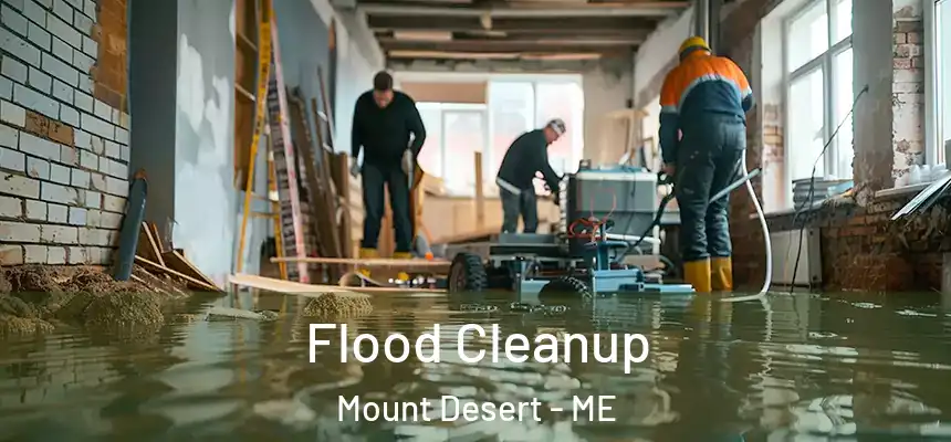  Flood Cleanup Mount Desert - ME