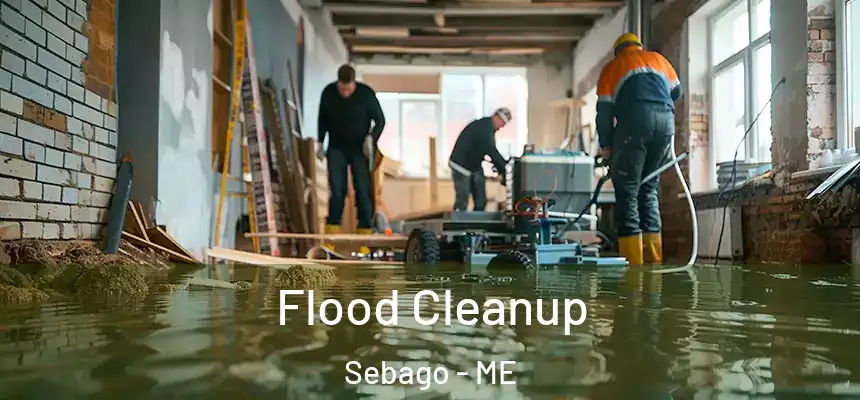  Flood Cleanup Sebago - ME