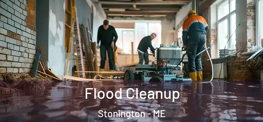  Flood Cleanup Stonington - ME