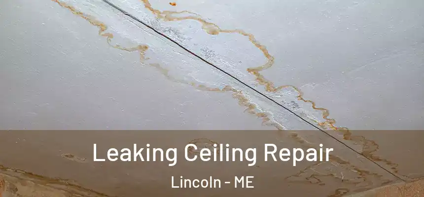  Leaking Ceiling Repair Lincoln - ME