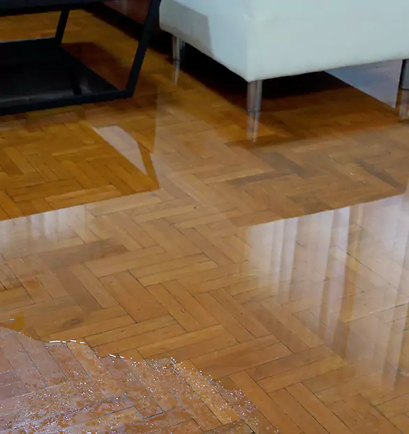 Trusted Emergency Water Restoration Company in Lincoln, ME