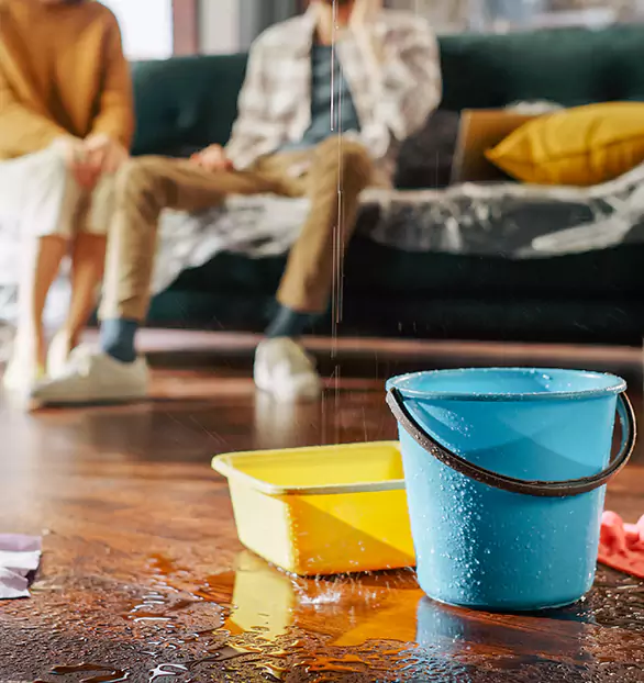 Trusted Water Mitigation Company in Lincoln, ME