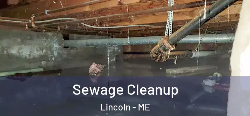  Sewage Cleanup Lincoln - ME