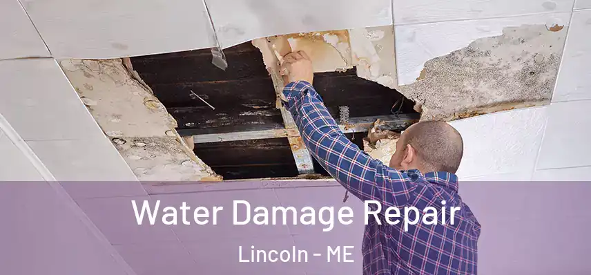  Water Damage Repair Lincoln - ME